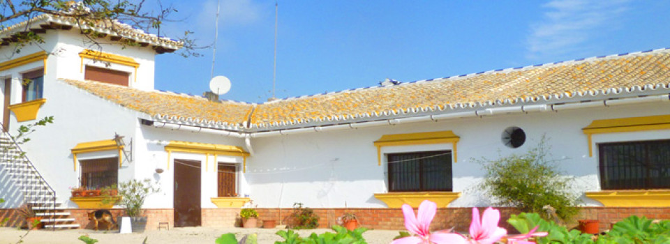 Finca_Landhaus_Reitimmobilie_Pferdehaltung_Jerez de la Frontera_Provinz Cadiz_Andalusien_zu_kaufen_verkaufen