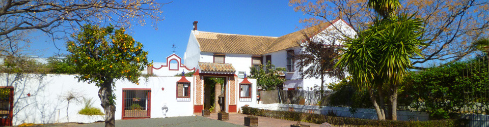 _Reitimmobilie_Reithotel_Cortijo_Finca_Reiterhof_Stierkampfarena_Tourismus_Andalusien_Provinz Malaga_Antequera_verkaufen