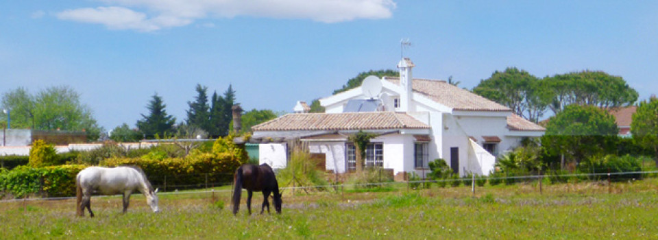 Haus, Ferienhaus, Villa, Reitimmobilie, Pferdehaltung, grosses Grundstück, nahe Strand, Chiclana, Cadiz, Costa de la Luz, Andalusien, zu verkaufen