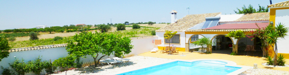Finca_Reitimmobilie_Haus mit Stall_Andalusien_Sevilla_Huelva_Bollullos del Condado_zu verkaufen