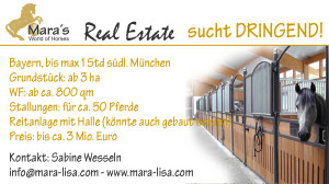 Reiterhof, Reitanlage, Reitstall,Deutschland, München, gesucht