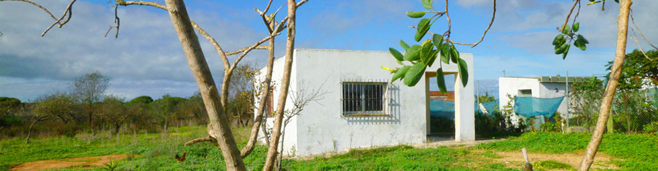 _suche_finca_zu_kaufen_in_Chiclana_finca_zu_verkaufen_Costa_de_la_Luz_kleines_Haus_mit_grossem_Garten_zu_verkaufen_Andalusien_Conil