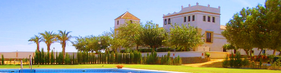 _suche_Immobilien_Andalusien_Sevilla_Carmona_Hacienda_Cortijo_Landsitz_Reitimmobilie_Reitstall_Pferde_Tourismus_Hotel_zu_kaufen_verkaufen