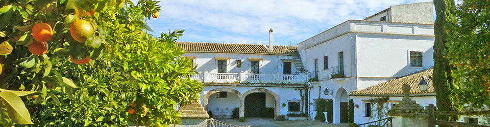se vende finca rustica cortijo Jerez Cadiz, casa de campo hacienda Cadiz Jerez en venta, finca casa de campo Jerez Cadiz para comprar