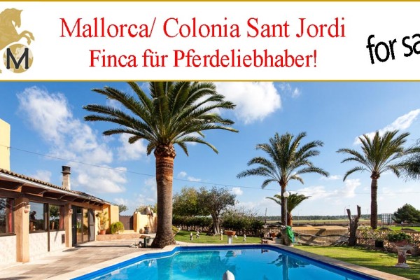 suche Finca nahe Strand Mallorca Ost zu kaufen