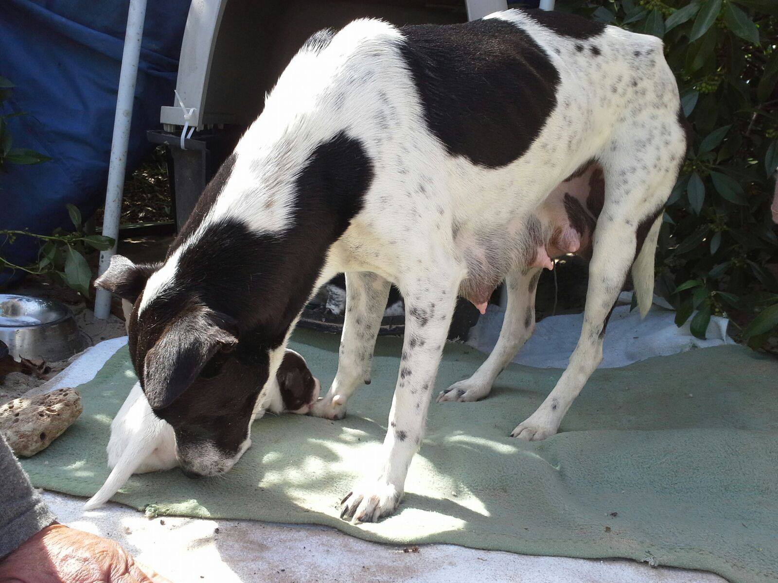 17887216_1418335451522155_12086230_o