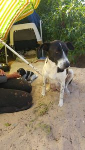 17976186_1424443754244658_316881001_o