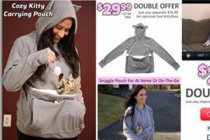 Tierschutz Andalusien