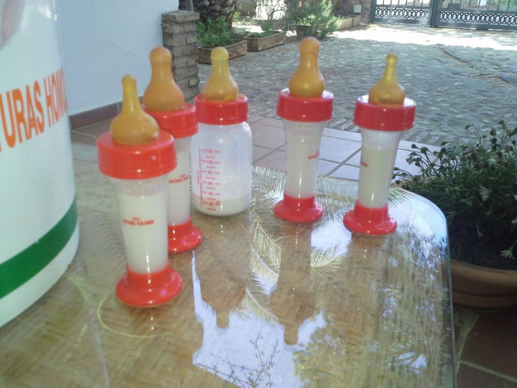 18042781_1428448450510855_1743788357_o