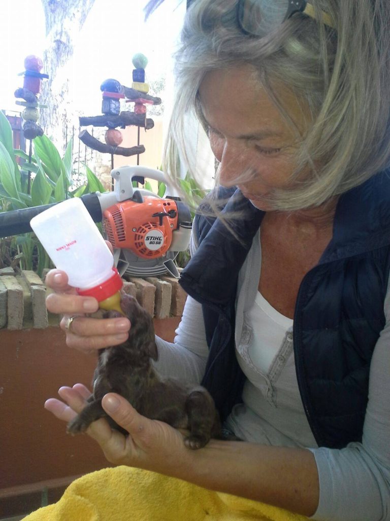 18049654_1428448493844184_1998677099_o