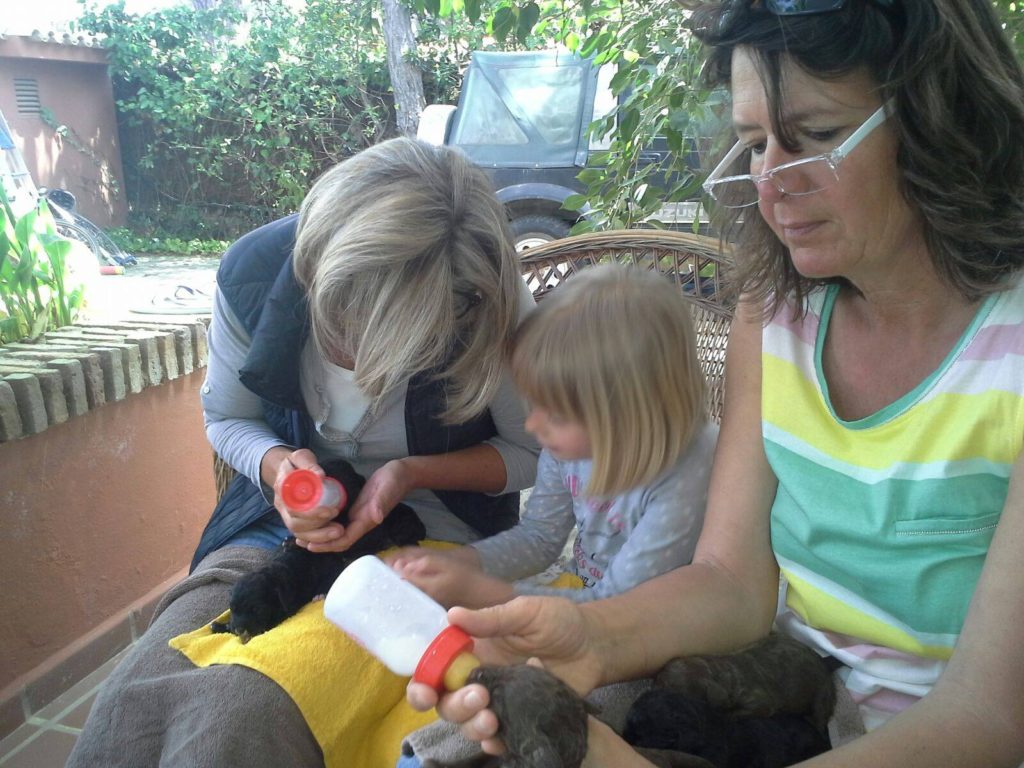 18049929_1428448477177519_1840162517_o