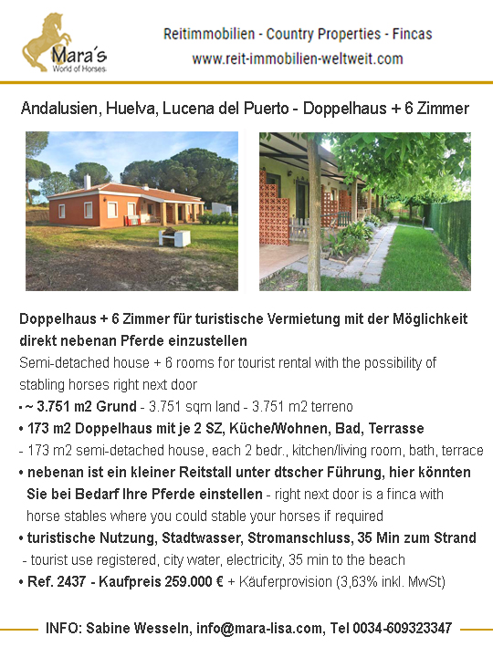 Huelva, Lucena del Puerto – Doppelhaushälfte + 6 separate Zimmer mit Bad zu verkaufen