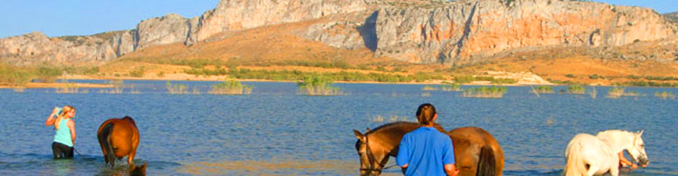 Reiterhof Finca Andalusien Antequera Provinz Malaga zu verkaufen