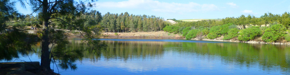 grosse finca Rinderfarm Chiclana Medina Andalusien zu verkaufen