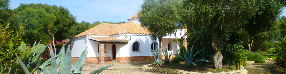 _Costa de la Luz_El Palmar_Vejer_Reitimmobilie_Finca_Pferde_strandnah_Apartmentvermietung_Turismus_zu_verkaufen