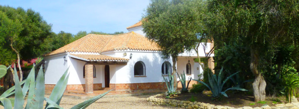 _Costa de la Luz_El Palmar_Vejer_Reitimmobilie_Finca_Pferde_strandnah_Apartmentvermietung_Turismus_zu_verkaufen