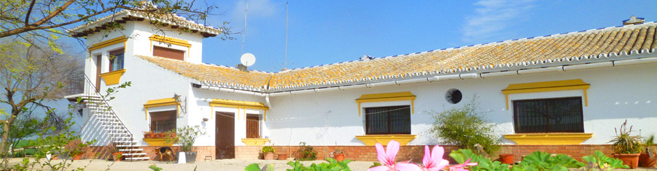 Finca_Landhaus_Reitimmobilie_Pferdehaltung_Jerez de la Frontera_Provinz Cadiz_Andalusien_zu_kaufen_verkaufen