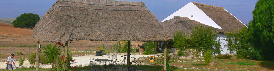 _Finca_Reitimmobilie_Pferdehaltung_Haus auf dem Land_Chiclana de la Frontera_Provinz Cadiz_Costa de la Luz_verkaufen