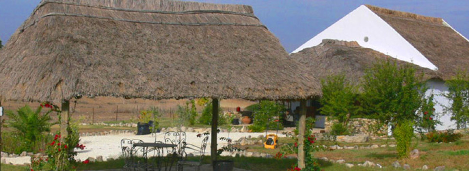 _Finca_Reitimmobilie_Pferdehaltung_Haus auf dem Land_Chiclana de la Frontera_Provinz Cadiz_Costa de la Luz_verkaufen