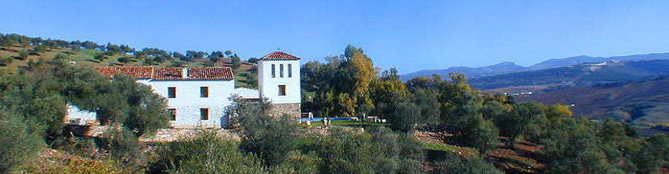_Finca_renovierte Ölmühle_Landhaus_Spezialimmobilie_Oliven_Ronda_Provinz Malaga_Andalusien_Süd-Spanien_zu_kaufen_verkaufen