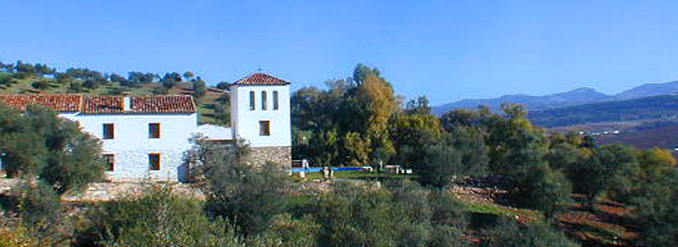 _Finca_renovierte Ölmühle_Landhaus_Spezialimmobilie_Oliven_Ronda_Provinz Malaga_Andalusien_Süd-Spanien_zu_kaufen_verkaufen