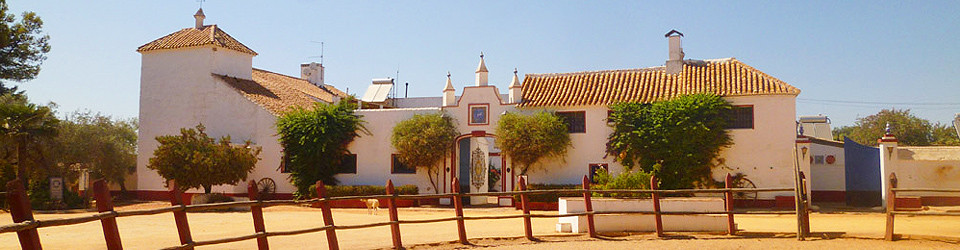 Spanien_Andalusien_Sevilla_Reithotel_Hacienda_andalusischer Cortijo_Reitimmobilie_Reiterhof_Reitstall_Tourismus_zu verkaufen