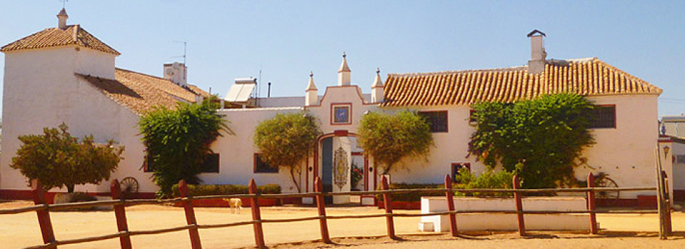 Spanien_Andalusien_Sevilla_Reithotel_Hacienda_andalusischer Cortijo_Reitimmobilie_Reiterhof_Reitstall_Tourismus_zu verkaufen