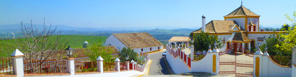 Gestüt, Reitimmobilie, Pferdezucht, Reitanlage, Reitbetrieb Andalusien, Costa de la Luz, Chiclana de la Frontera, Provinz Cadiz, zu verkaufen, studfarm, horse equestrian property, for sale, Andalusia