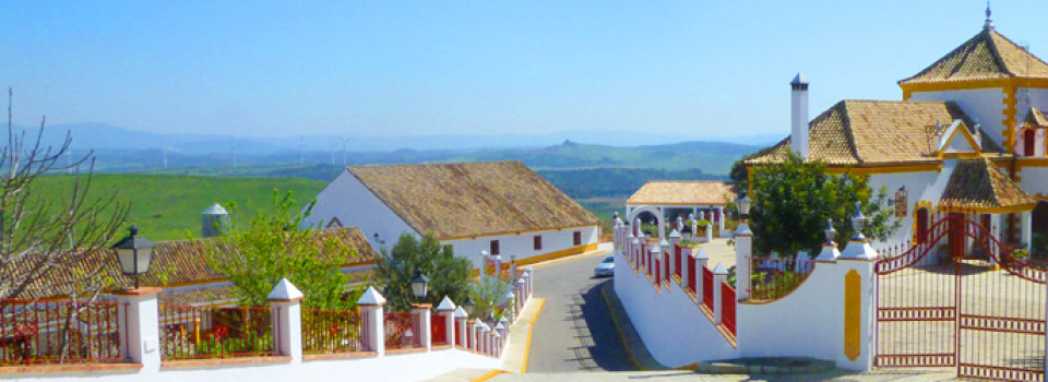 Gestüt, Reitimmobilie, Pferdezucht, Reitanlage, Reitbetrieb Andalusien, Costa de la Luz, Chiclana de la Frontera, Provinz Cadiz, zu verkaufen, studfarm, horse equestrian property, for sale, Andalusia