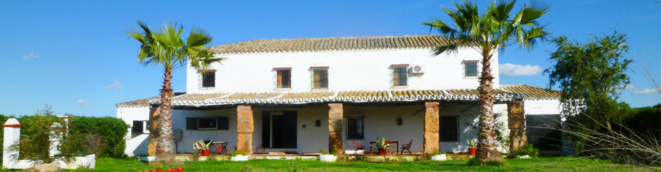 Cortijo,Finca,Reitimmobilie,Andalusien,Sevilla,Inland,Pferdehaltung,zu,verkaufen