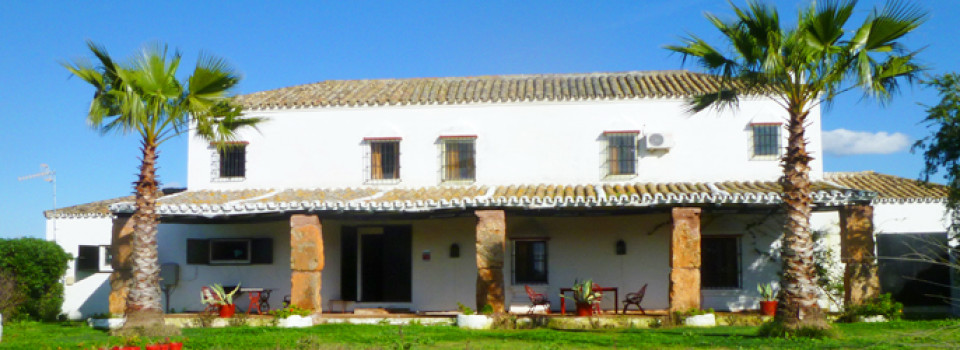 Cortijo,Finca,Reitimmobilie,Andalusien,Sevilla,Inland,Pferdehaltung,zu,verkaufen