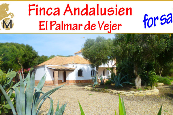 _country_property_cottages_apartment_rental_beach_turism_Costa de la Luz_El Palmar_Vejer_for sale