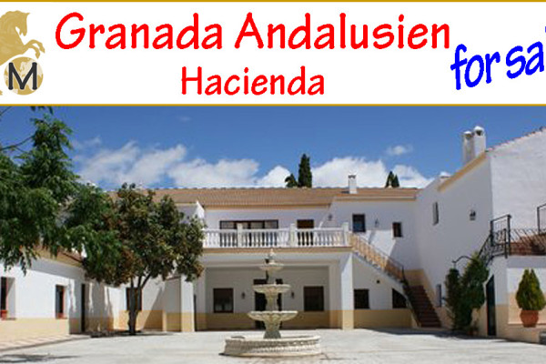 _country_horse_equestrian_property_estate_hacienda_cortijo_finca_horsestable_hotel_turism rural_inland_Granada_Andalusia_for_sale_to_buy