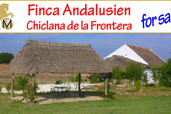 _Finca_Reitimmobilie_Pferdehaltung_Haus auf dem Land_Chiclana de la Frontera_Provinz Cadiz_Costa de la Luz_verkaufen