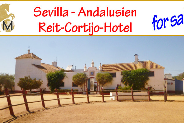 Spain, Andalusia, Sevilla, Cortijo, riding school, country, horse, equestrian, property, hotel, hacienda,finca, stables, turism, rural, inland, for sale, Spanien, Andalusien, Sevilla, Reithotel, Hacienda, andalusischer Cortijo, Reitimmobilie, Reiterhof, Reitstall, Tourismus, zu verkaufen, Sevilla, Andalusia, cortijo, hotel, propiedad, centro ecuestre, hipica, turismo rural, en venta