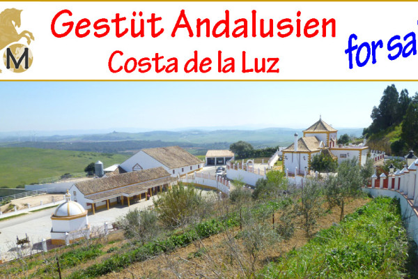 Gestüt, Reitimmobilie, Pferdezucht, Reitanlage, Reitbetrieb Andalusien, Costa de la Luz, Chiclana de la Frontera, Provinz Cadiz, zu verkaufen, studfarm, horse equestrian property, for sale, Andalusia