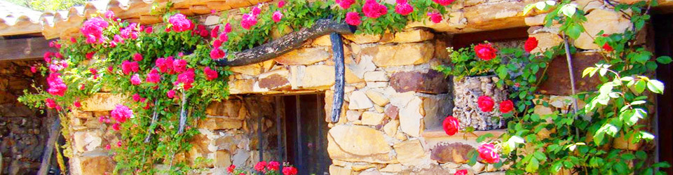 _Finca_Pferdehaltung_Haus_Tarifa_Andalusien_Costa de la Luz_zu_kaufen_verkaufen