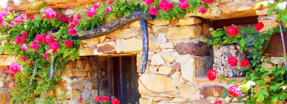 _Finca_Pferdehaltung_Haus_Tarifa_Andalusien_Costa de la Luz_zu_kaufen_verkaufen