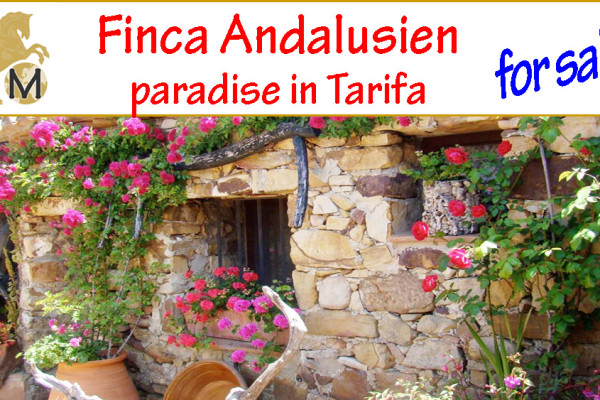 _finca_Pferde_Andalusien_Tarifa_zu kaufen_verkaufen