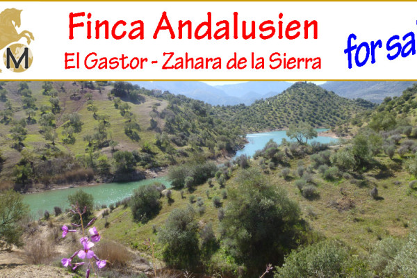 Seegrundstück, Finca, Grundstück mit Seezugang und Ruine, El Gastor, Zahara de la Sierra, Grazalema, Inland, Andalusien, zu verkaufen