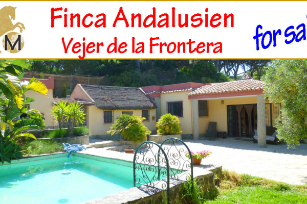 _Immobilien_Finca_Ferienhaus_Haus_Holzhäuser_Reitimmobilie_strandnah_Gästehaus_Andalusien_Costa de la Luz_Vejer_zu_kaufen_verkaufen