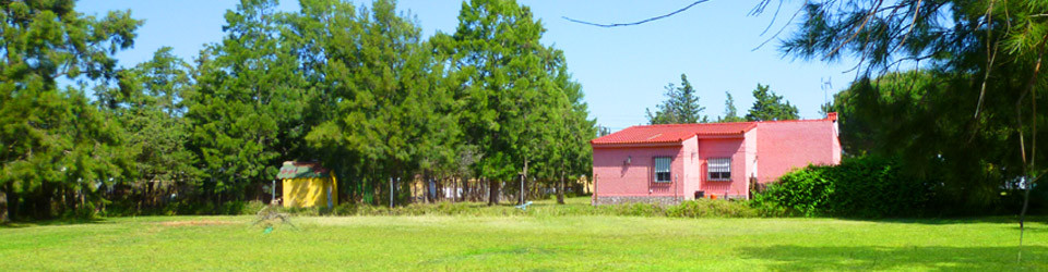 Haus, Ferienhaus, Chiclana, Costa de la Luz, Cadiz, Andalusien, zu verkaufen, kaufen