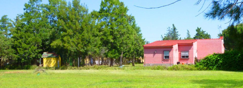 Haus, Ferienhaus, Chiclana, Costa de la Luz, Cadiz, Andalusien, zu verkaufen, kaufen