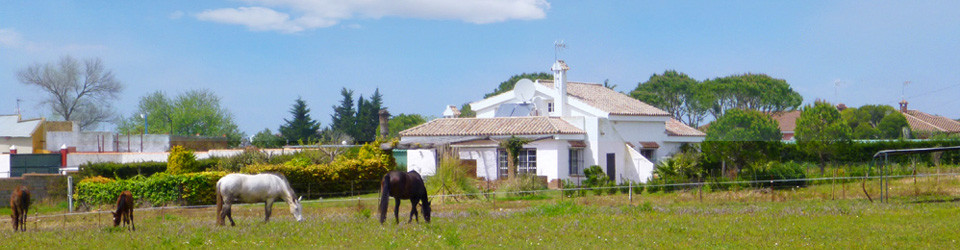 Haus, Ferienhaus, Villa, Reitimmobilie, Pferdehaltung, grosses Grundstück, nahe Strand, Chiclana, Cadiz, Costa de la Luz, Andalusien, zu verkaufen