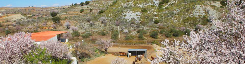 ,immobilien,südspanien,andalusien,Almeria,finca,landhaus,reitimmobilie,reiterhof,ranch,pferdehaltung,pferdebetrieb,reitstall,pferdehof,turismus,gästehaus,hotel,zu verkaufen