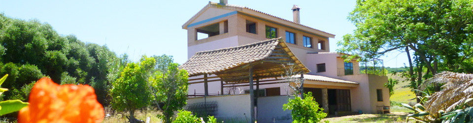 Vejer, Los Ambrosio, Costa de la Luz, Cádiz, Andalusien, Landhaus, Reitimmobilie, Finca, Pferdehaltung, Haus, zu verkaufen