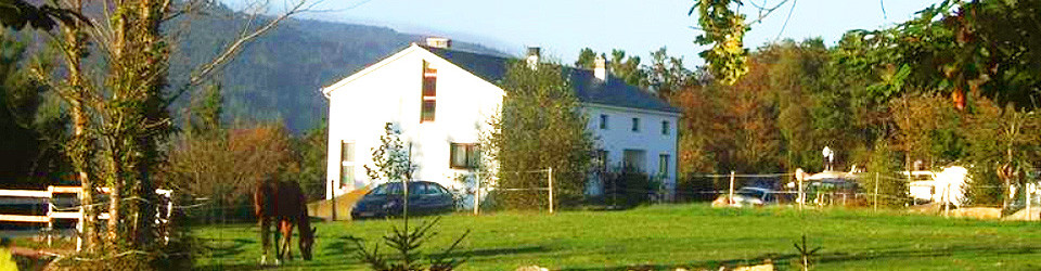 north Spain, Asturia, Boal, Parque Histórico del Navia, country, horse, equestrian, property, finca, ranch, farmhouse, hotel, rural, turism, sale, buy, Immobilien, Nord-Spanien, Asturien, Parque Histórico del Navia, Jakobsweg, Boal, Reitimmobilie, Finca, Reiterhof, Pferdehof, Tourismus, Hotel, zu, kaufen, verkaufen, Inmobiliaria, Asturia, Parque Histórico del Navia, Finca, rustica, casa, rural, de, campo, propiedad, ecuestre, turismo, rural, hotel, compra, venta, vende