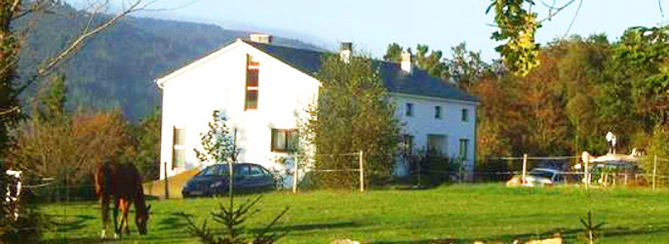 north Spain, Asturia, Boal, Parque Histórico del Navia, country, horse, equestrian, property, finca, ranch, farmhouse, hotel, rural, turism, sale, buy, Immobilien, Nord-Spanien, Asturien, Parque Histórico del Navia, Jakobsweg, Boal, Reitimmobilie, Finca, Reiterhof, Pferdehof, Tourismus, Hotel, zu, kaufen, verkaufen, Inmobiliaria, Asturia, Parque Histórico del Navia, Finca, rustica, casa, rural, de, campo, propiedad, ecuestre, turismo, rural, hotel, compra, venta, vende