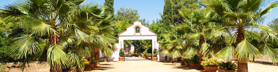 Gestüt, Reitimmobilie, Pferdezucht, Reitanlage, Reitbetrieb Andalusien, Andalusien, Sevilla, Carmona, zu verkaufen, studfarm, horse equestrian property, for sale, Andalusia