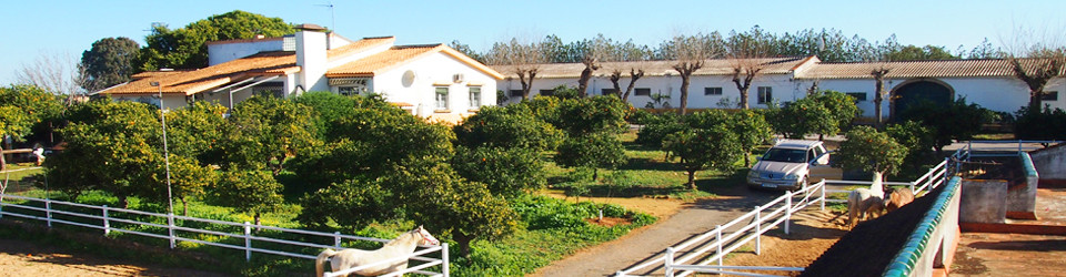 finca for rent, Andalusia, Sevilla, Carmona, Finca zum vermieten, Vermietfinca, Finca mit Ställen, Reitimmobilie zu mieten gesucht, finca for horses, equestrian property to rent, southern spain